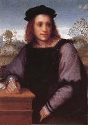 Andrea del Sarto Potrait of man Sweden oil painting artist